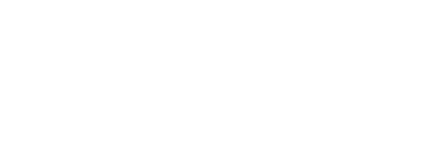 THE CORE